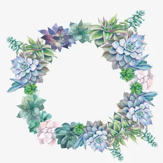 小清新手绘多肉花环边框免抠