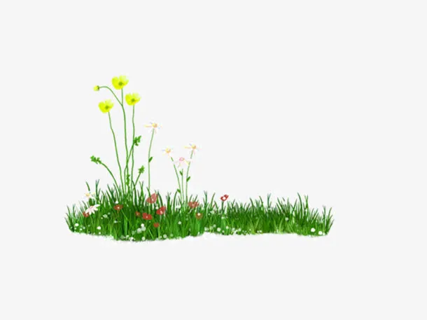 草地上的小花免抠素材免抠