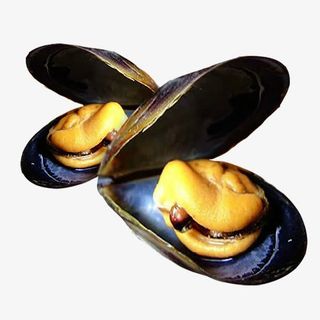 产品实物特级海虹免抠