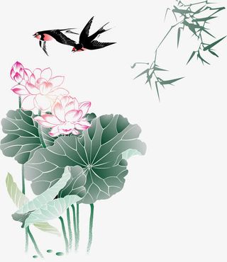 荷花燕子竹子免抠