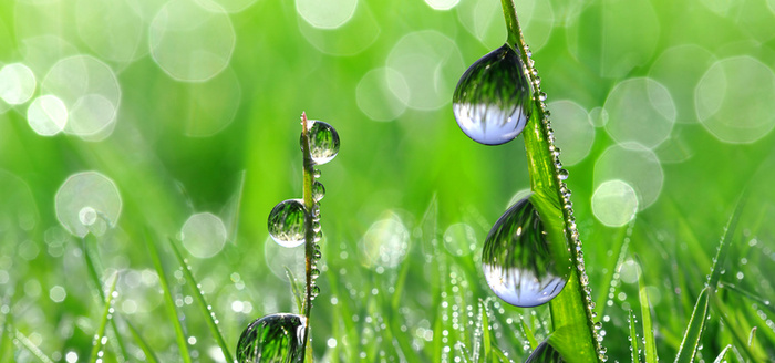 水珠背景高清