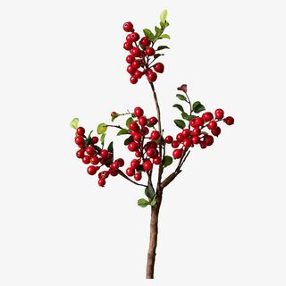 蔓越莓浆果免抠