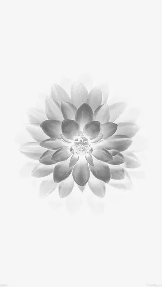 黑色渐变色花朵免抠