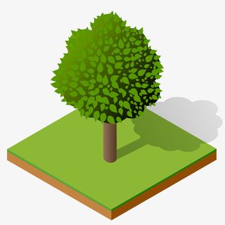 手绘卡通绿色大树免抠