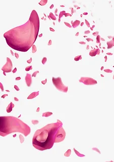 粉色桃花花瓣 高清免抠