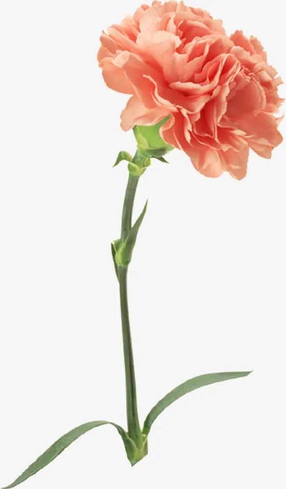 黄色母亲节清新春季花朵免抠
