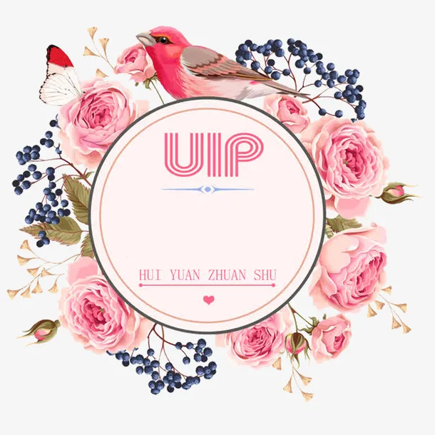 手绘会员活动彩色素材免抠