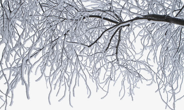 雪景免抠