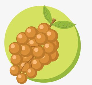 龙眼手绘免抠手绘/卡通卡通元素