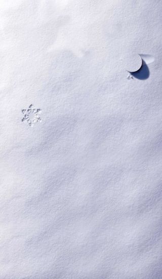星星月亮艺术白色雪地免抠