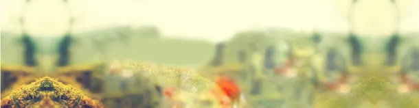 唯美免抠