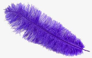 羽毛翅膀素材纸蝴蝶免抠