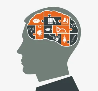 大脑里的内容免抠