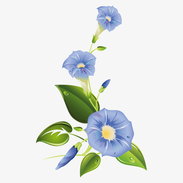 花朵 花卉免抠