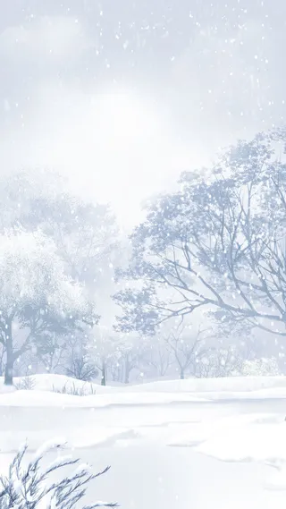 暴风雪免抠