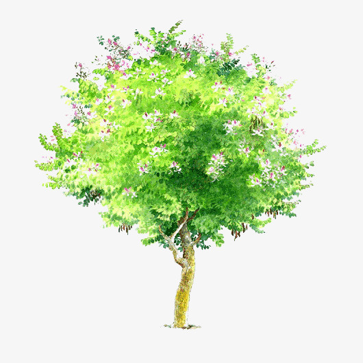手绘树木树木素材psd免抠