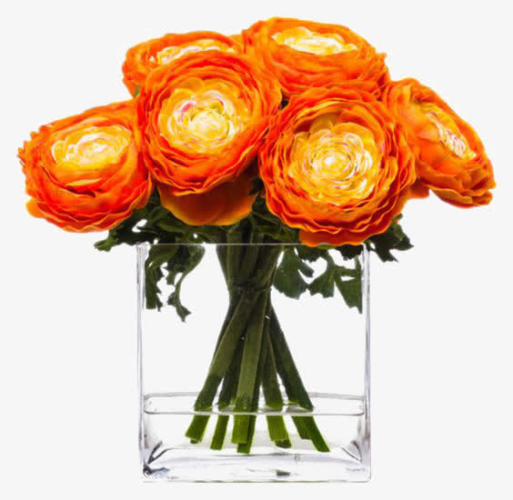 橙色花朵装饰免抠