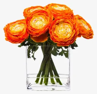 橙色花朵装饰免抠