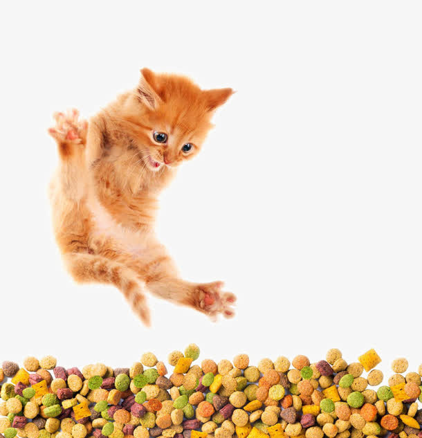 猫粮狗粮免抠