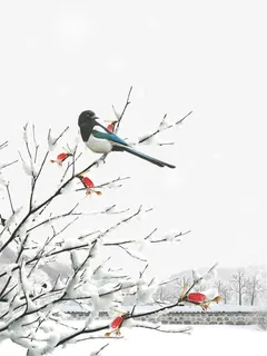 二十四节气免抠