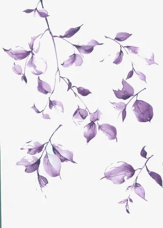 手绘花朵边框免抠