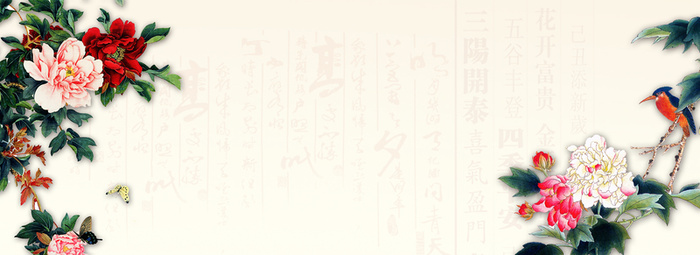 中国牡丹花文字背景高清