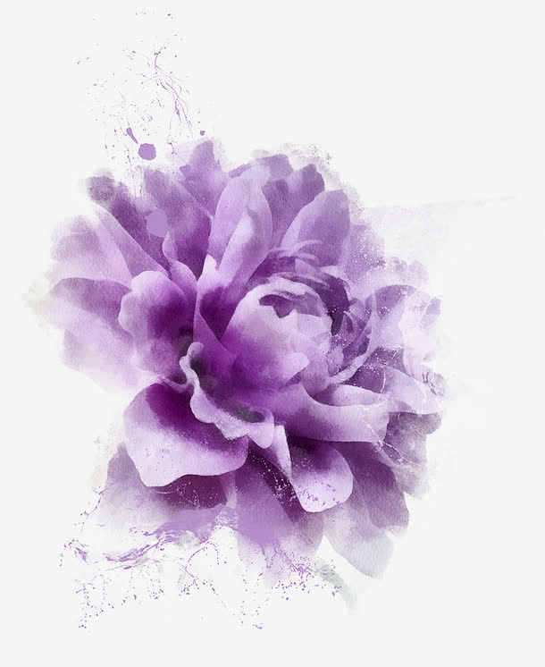 紫色的花免抠