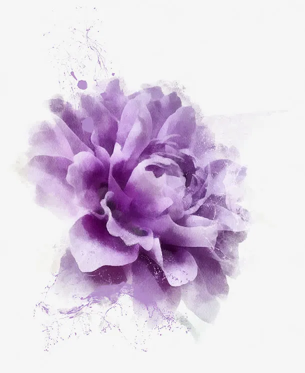 紫色的花免抠