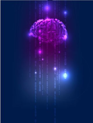 矢量大脑解剖图炫彩紫色背景高清