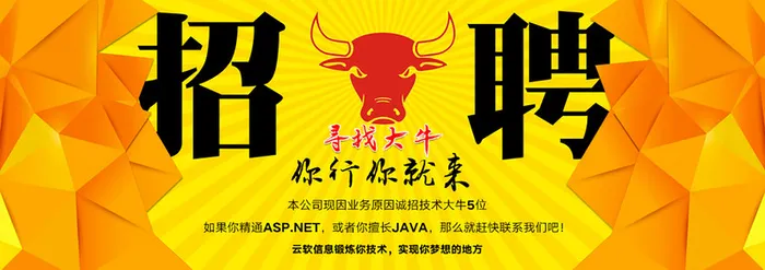 技术大牛招聘背景banner高清