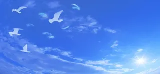 蓝天白云和平鸽背景高清