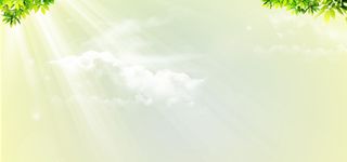 春天背景图片高清