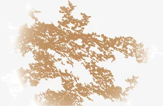 咖啡色斑斓花纹免抠