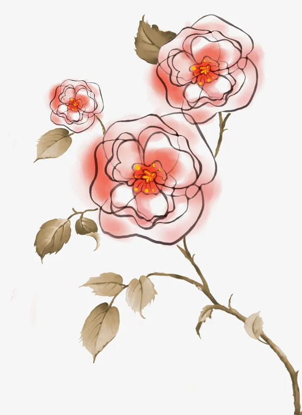 花朵 花卉免抠