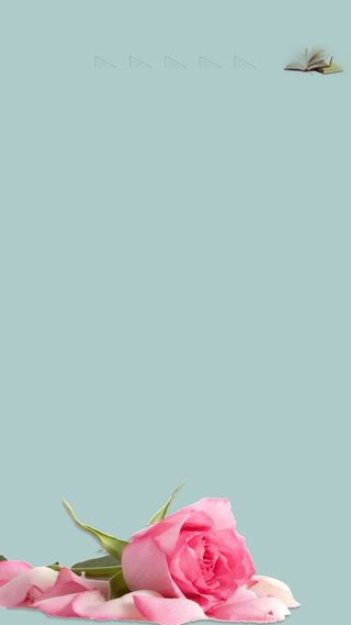 教育康乃馨树枝感恩蓝天简约高清