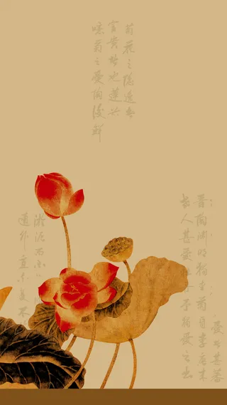 简约复古荷花源文件H5背景高清