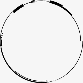中国风水墨科技感圆环免抠