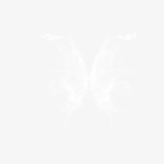 水花翅膀素材免抠