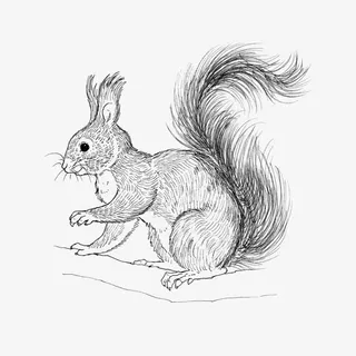 树松动物服装图案免抠