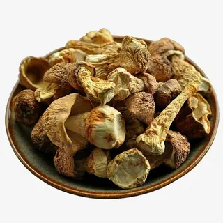 干货特级姬松茸菌菇免抠