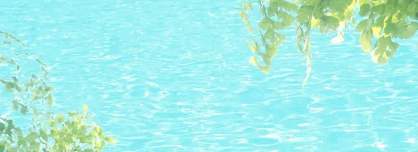清新背景banner