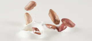 牛奶花生背景高清