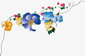 花朵插图免抠
