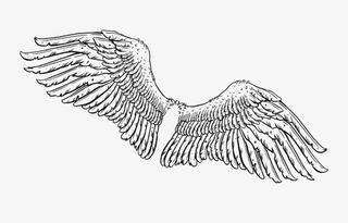 高清素描免扣天使翅膀免抠