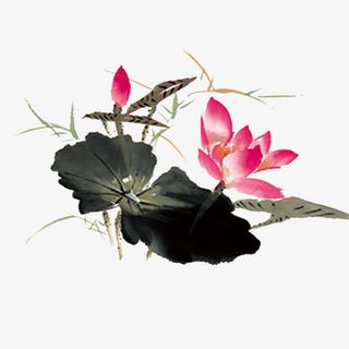 荷花国画素材免抠