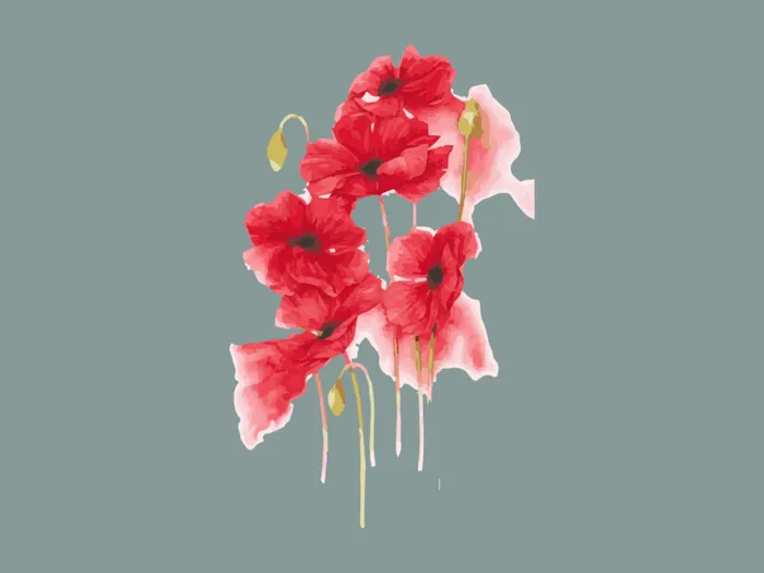 插画免扣花儿高清