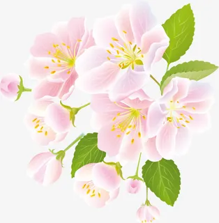 卡通手绘花朵绿叶免抠