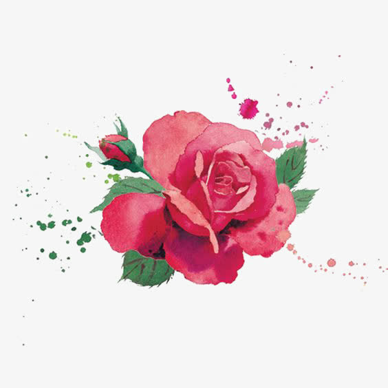 水彩花朵免抠