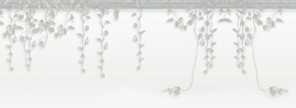 春季复古藤蔓植物免抠