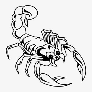 黑白图案动物 纹免抠